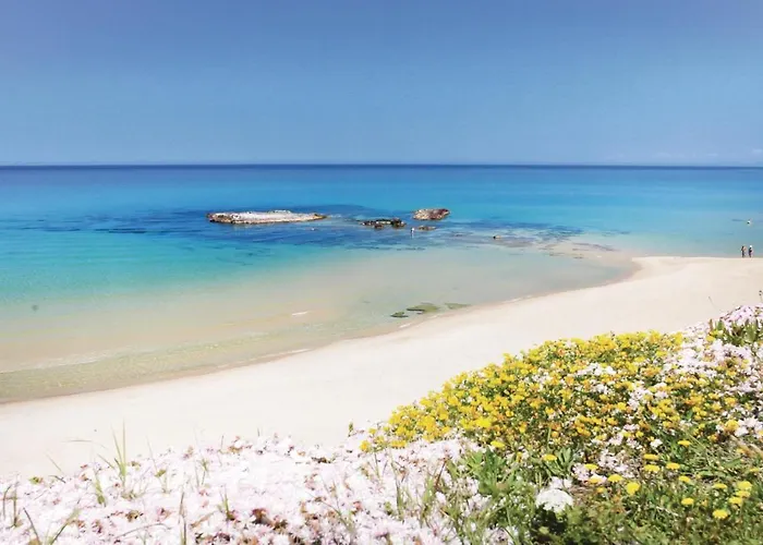 Tatil Evi 2 Bedroom Lovely In Ca-